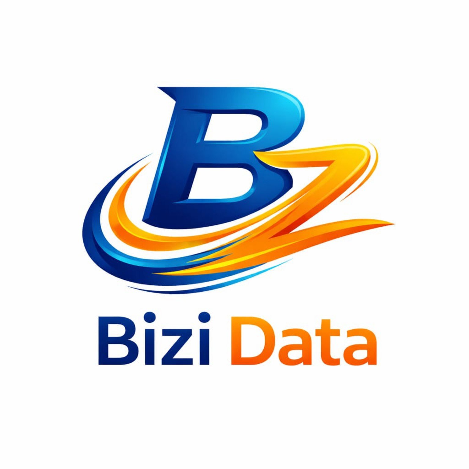 BiziData Logo